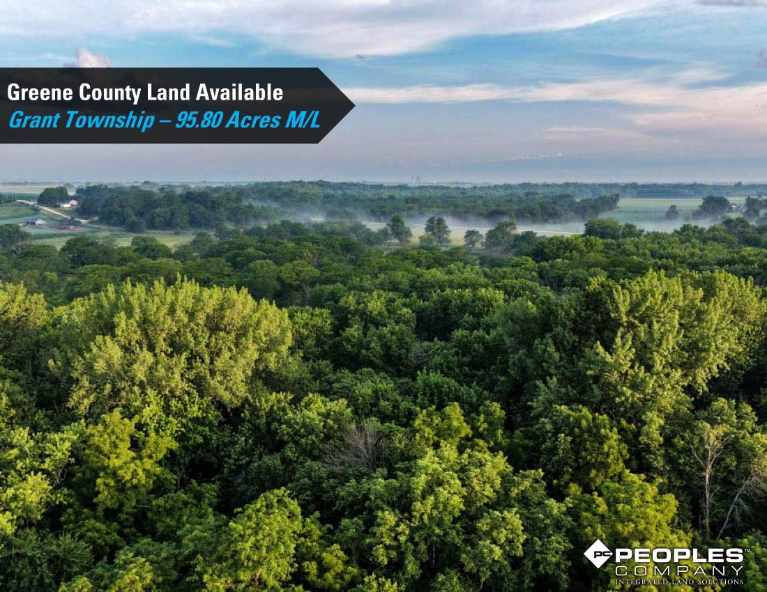 Listing Photo: Greene-Co-Rec-Land-Available-95-Acres-19559 (7)